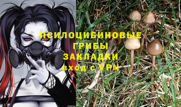 индика Новокубанск