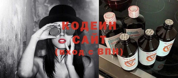 индика Новокубанск